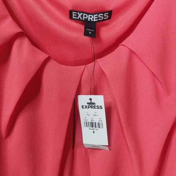 Express Dress - Picture 4 of 5